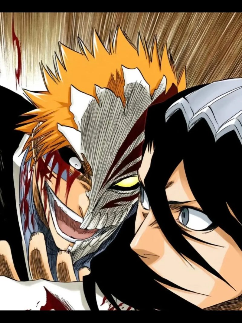Ảnh Ichigo 1