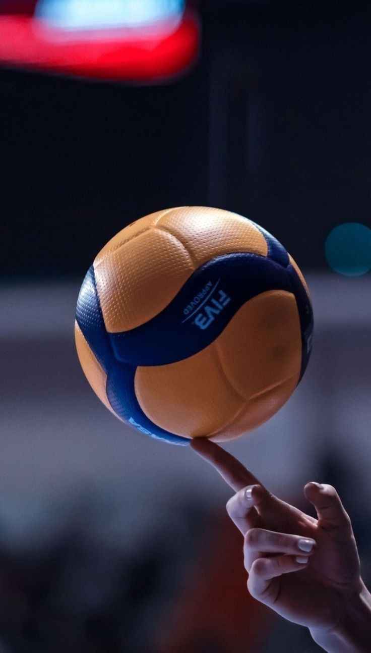 Ảnh bóng chuyền 12