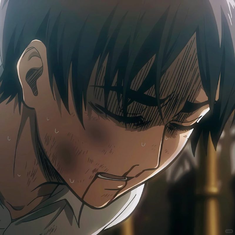 ảnh Eren 6