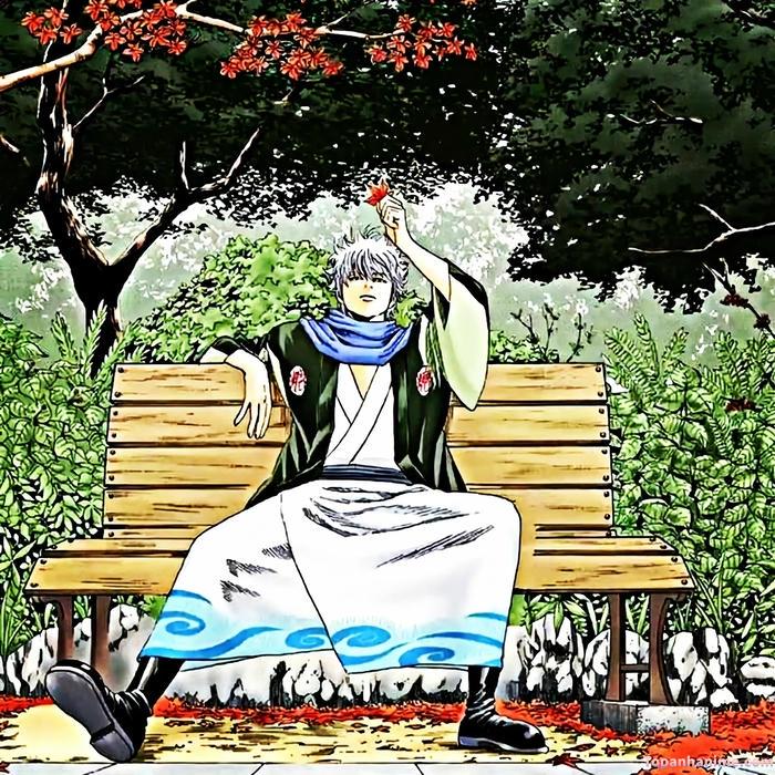 Mẫu ảnh Gintoki Sakata 29