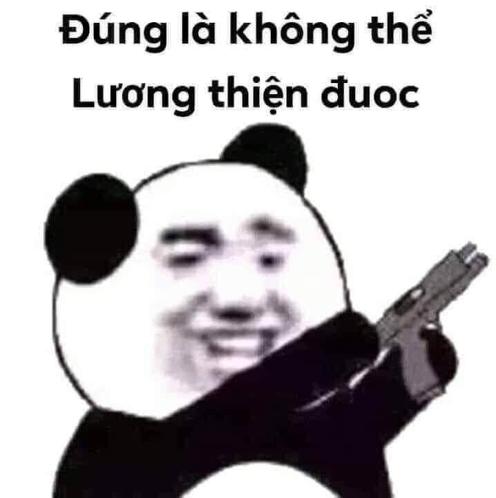 Ảnh Hài 9