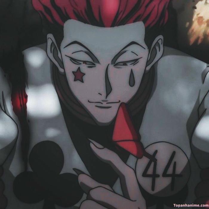 Mẫu ảnh Hisoka Morow 8