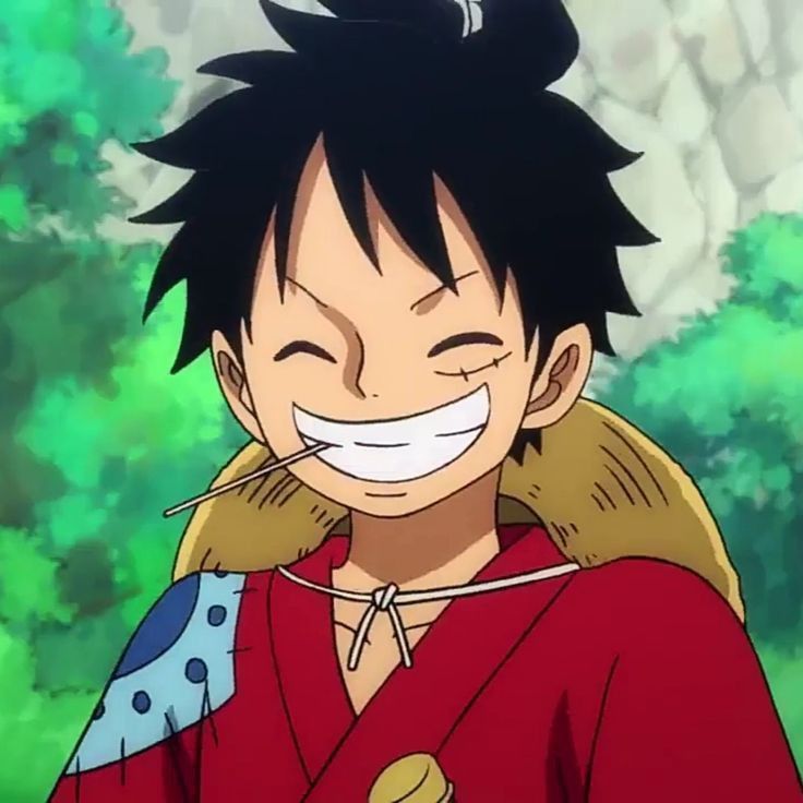 Ảnh Luffy Cười 17