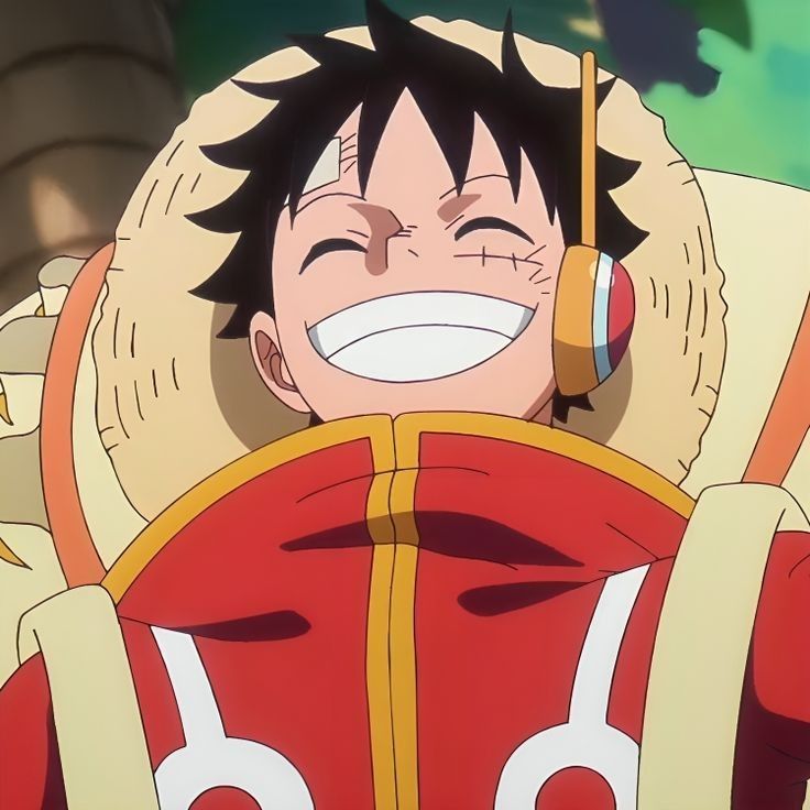 Ảnh Luffy Cười 8