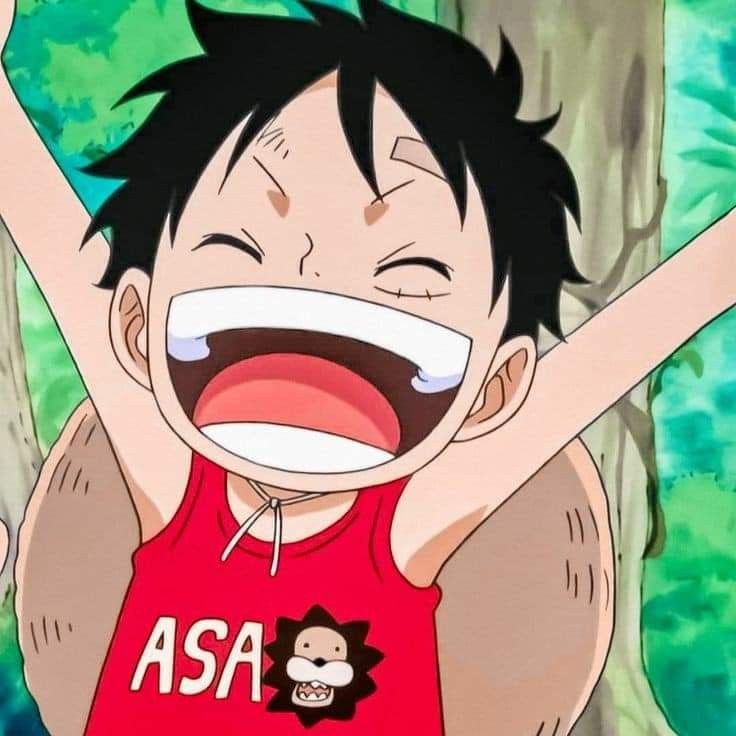 Ảnh Luffy Cười 14