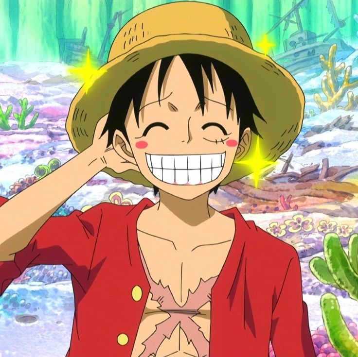 Ảnh Luffy Cười 13