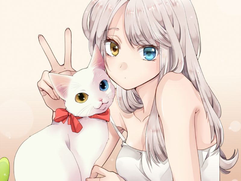 mèo anime 4