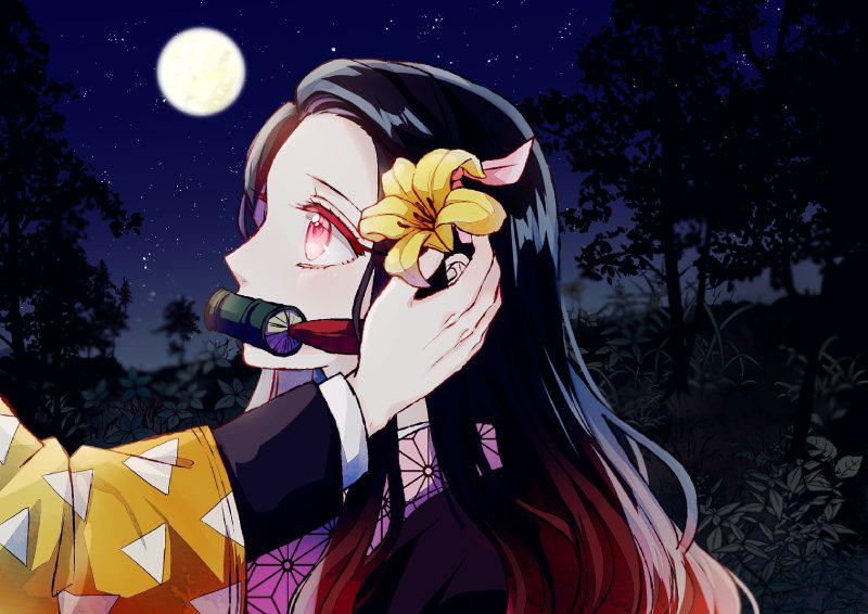 ảnh Nezuko 9