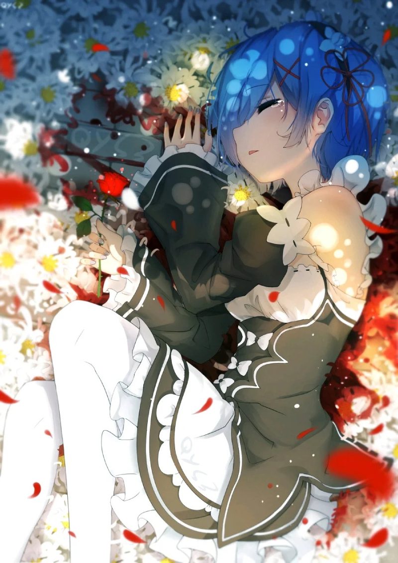 ảnh Rem 24