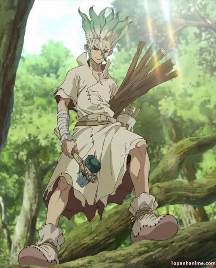 Mẫu ảnh Senku Ishigami 8