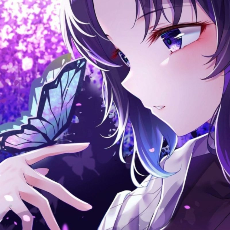 ảnh Shinobu 33