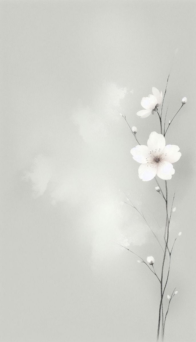 Ảnh Trắng 3