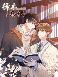 Tuyển Tập 1453+ Anime Đam Mỹ: Hình Ảnh Đẹp Mê Ly Cho Fan