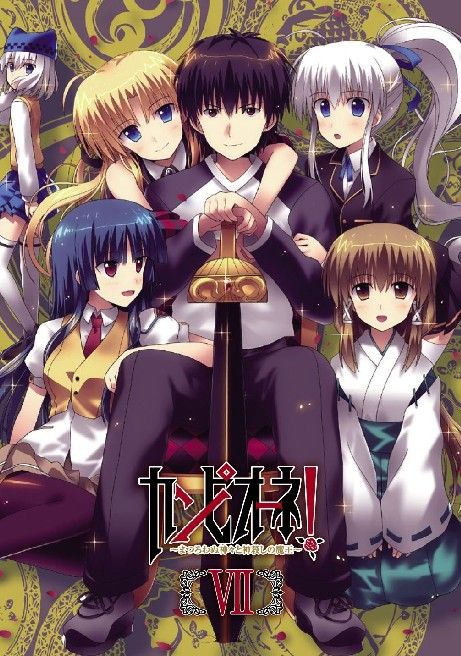 Anime Harem 11