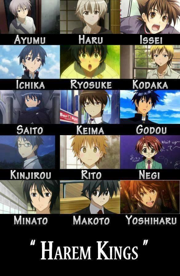 Anime Harem 7