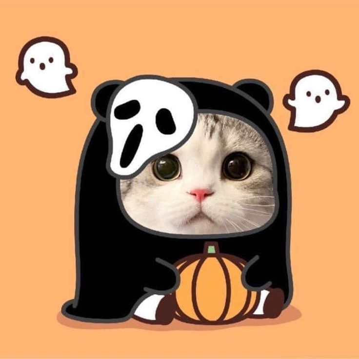 Avatar Ảnh Mèo Cute 8