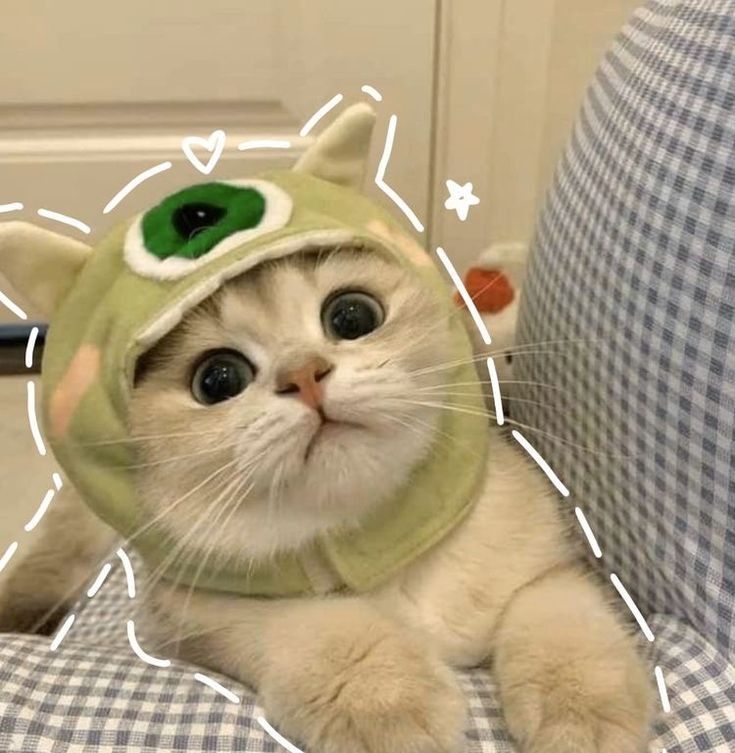 Avatar Cute Mèo 3