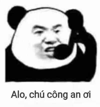 ảnh Gấu Trúc Meme 4