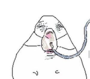 189+ Meme Hamster Đáng Yêu Khiến Bạn Cười Không Ngớt