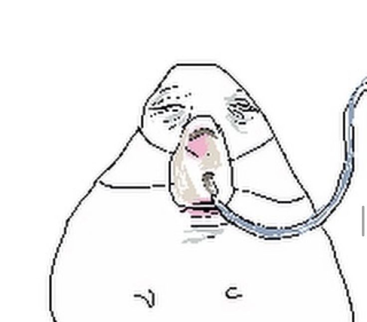 Hamster Meme 15