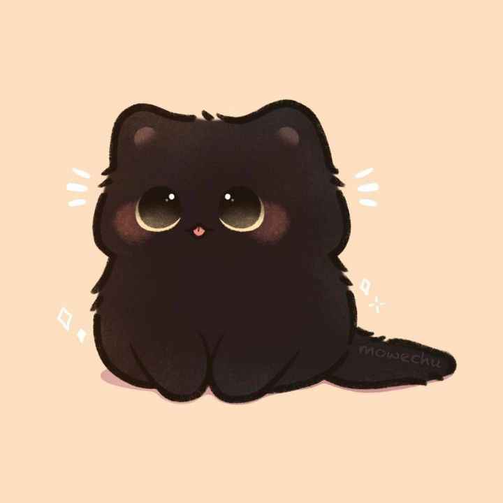 Hình Ảnh Con Mèo Cute 13