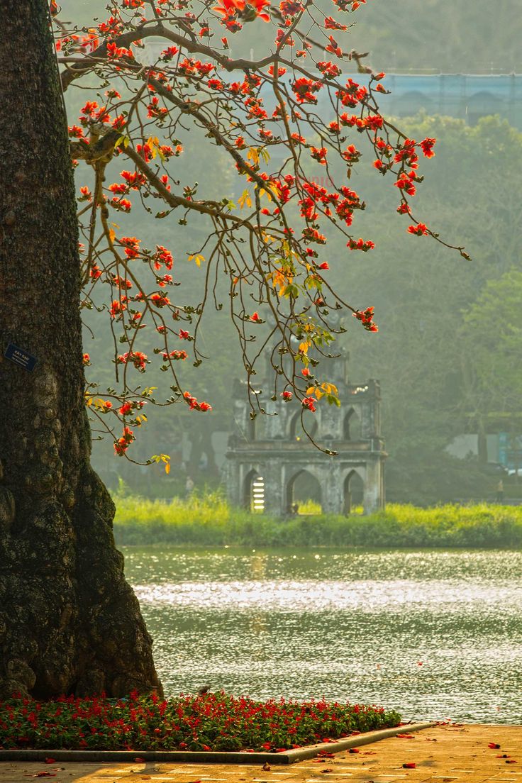 Hình Ảnh Hồ Gươm 10