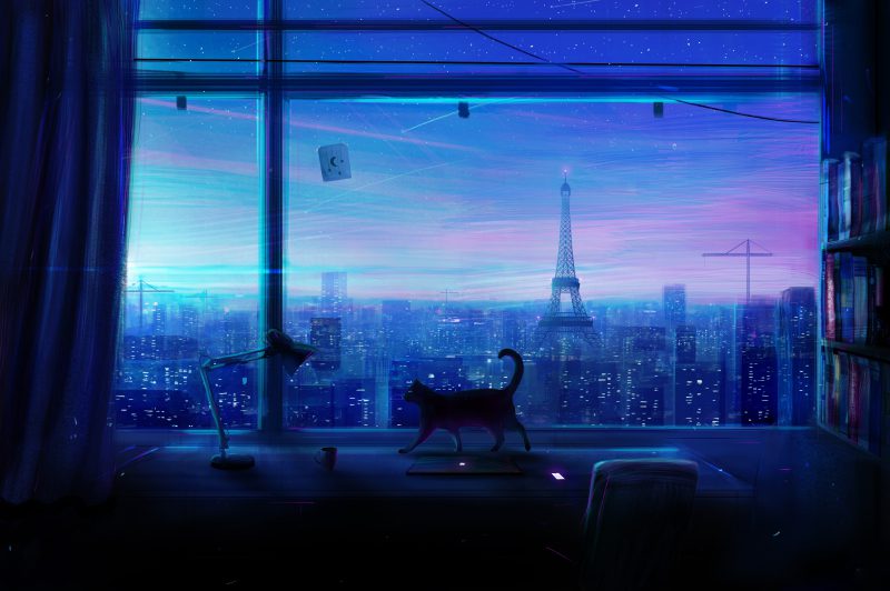 mèo anime 7