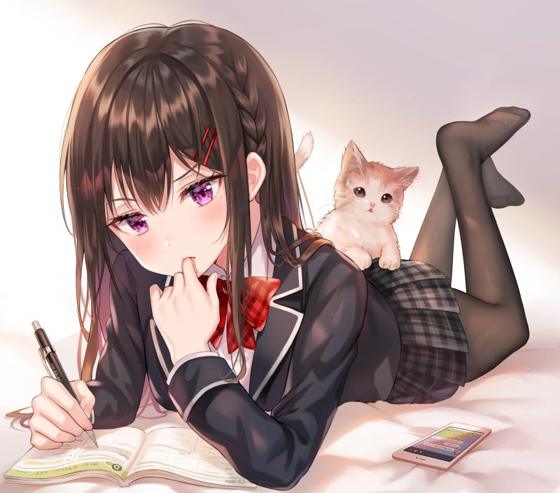 mèo anime 13