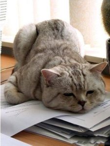 119+ Hình Ảnh Mệt Mỏi Chất Lượng Cao Cho Bạn Thể Hiện Cảm Xúc