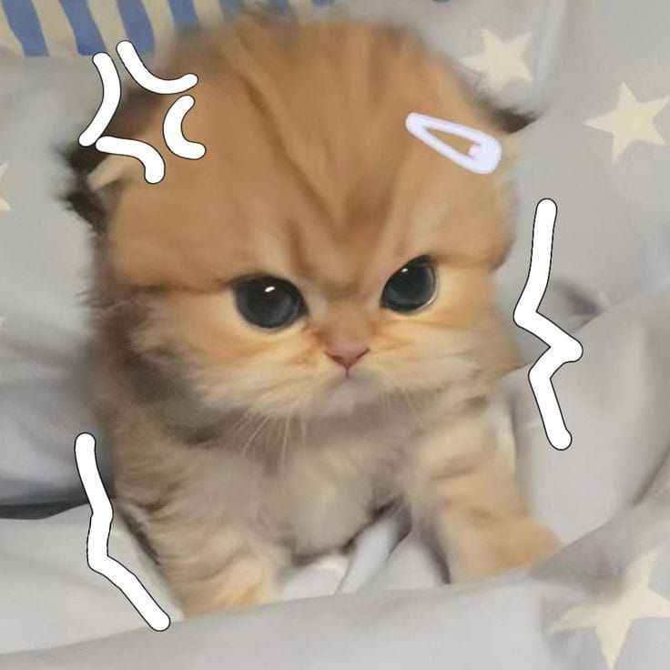 Hình Cute 6