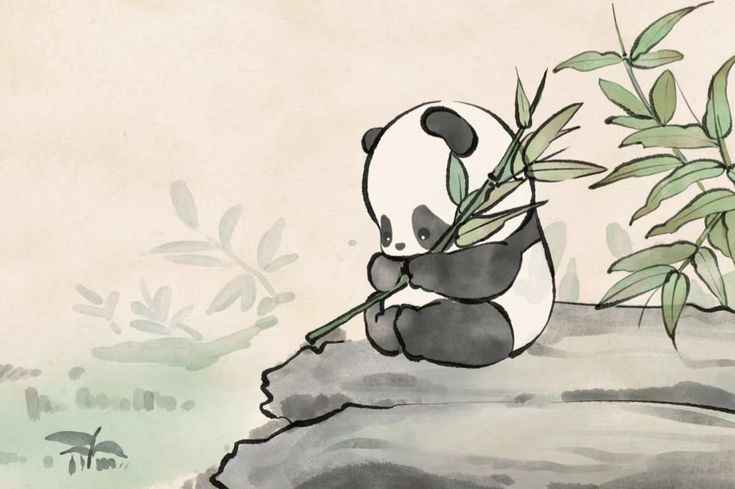 Hình Nền Gấu 13
