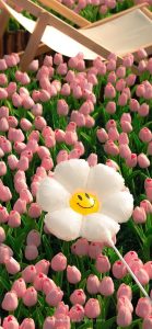169+ Hình Nền iPhone Đẹp Cute Mê Mẩn Cho Dế Yêu Của Bạn