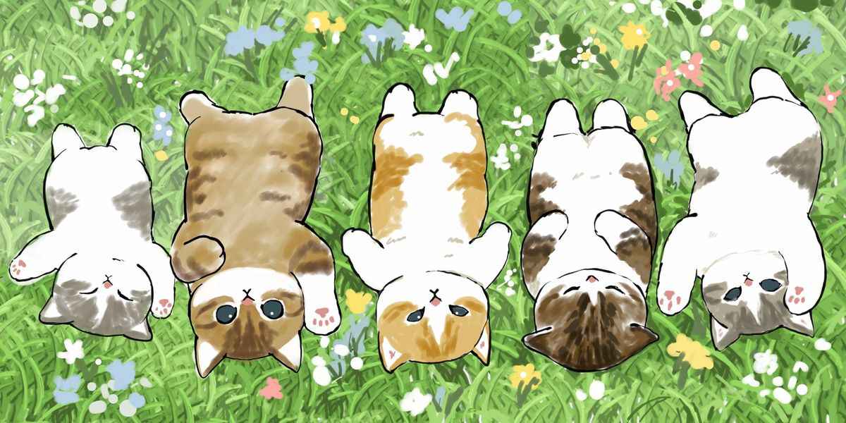 Hình Nền Mèo Cute 12