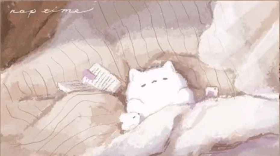 Hình Nền Mèo Cute 13