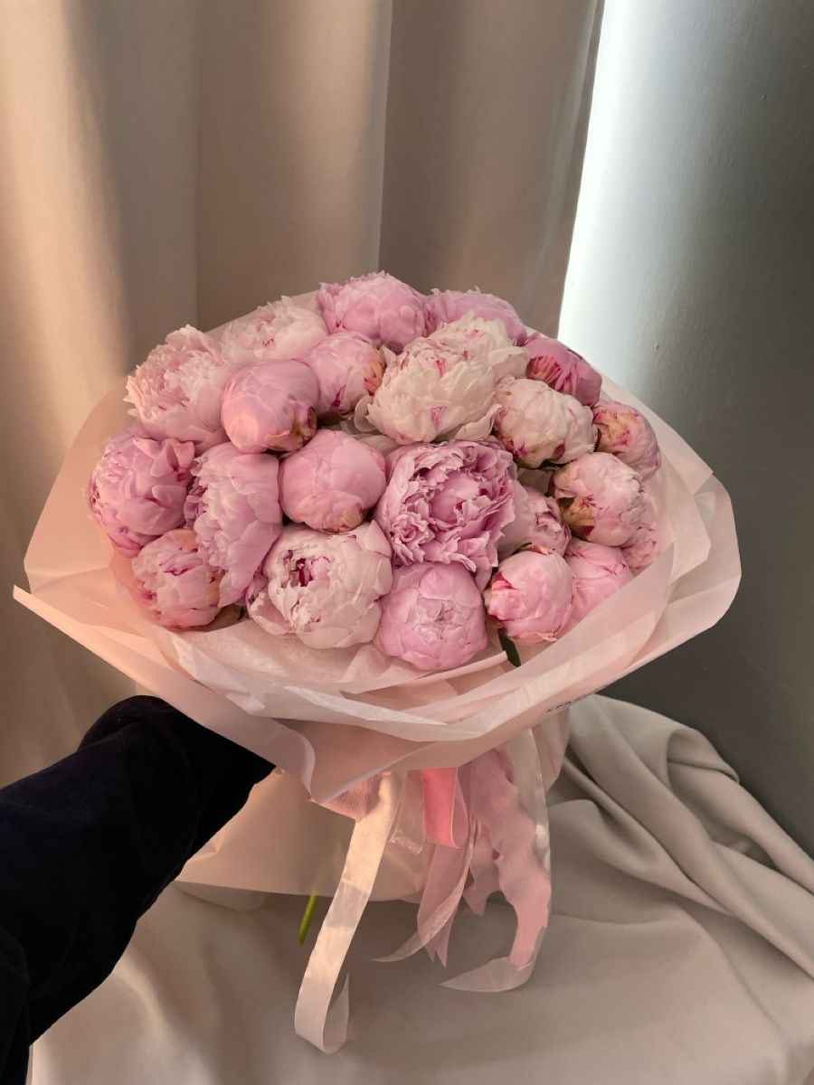 Hoa Mẫu Đơn 7