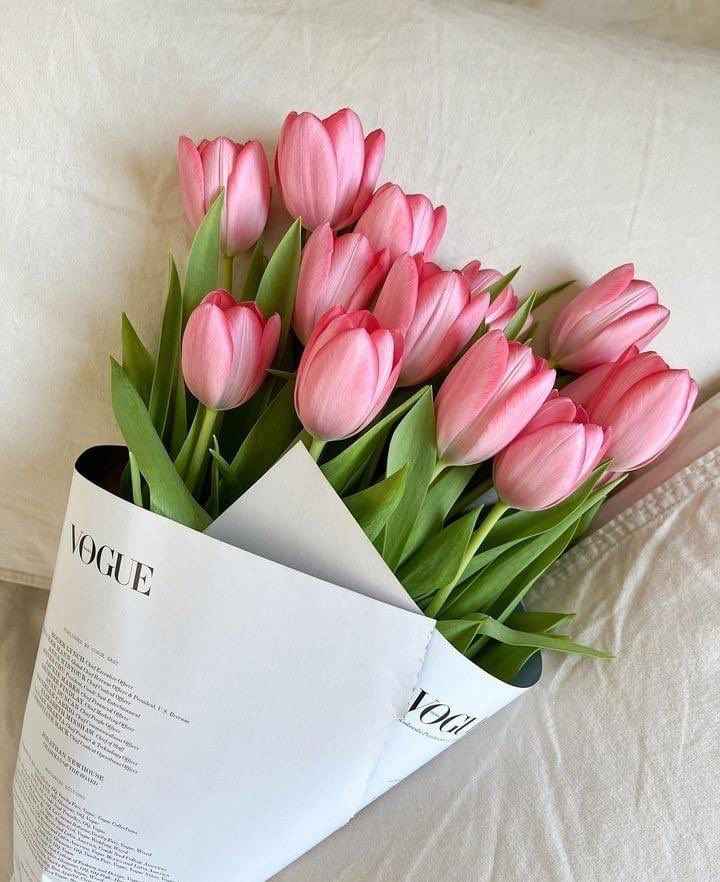Hoa Tulip 11