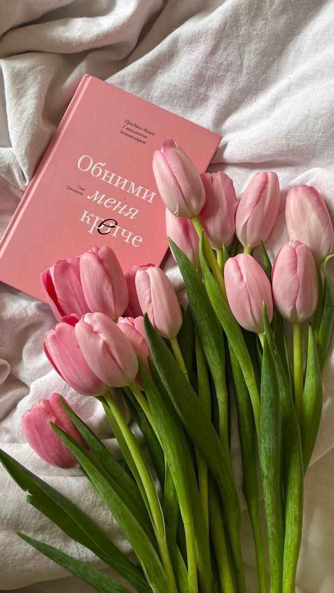 Hoa Tulip 12