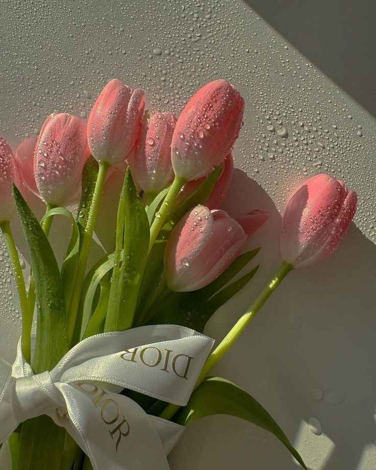 Hoa Tulip 1