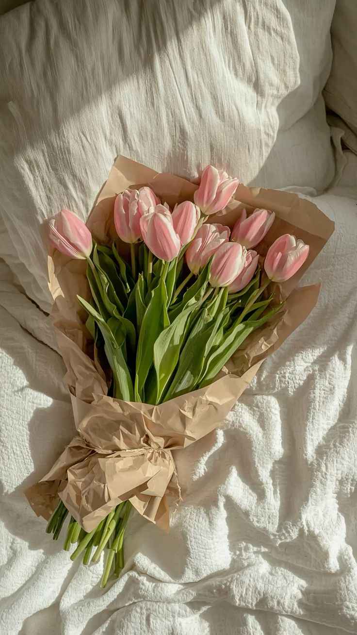 Hoa Tulip 6