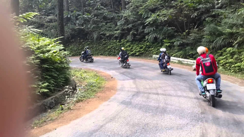 Khám phá Cầu Mây Tam Đảo (hình 5)