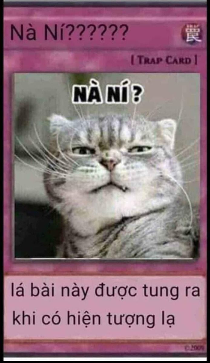 Lá Bài Meme 14