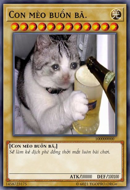 Lá Bài Meme 15