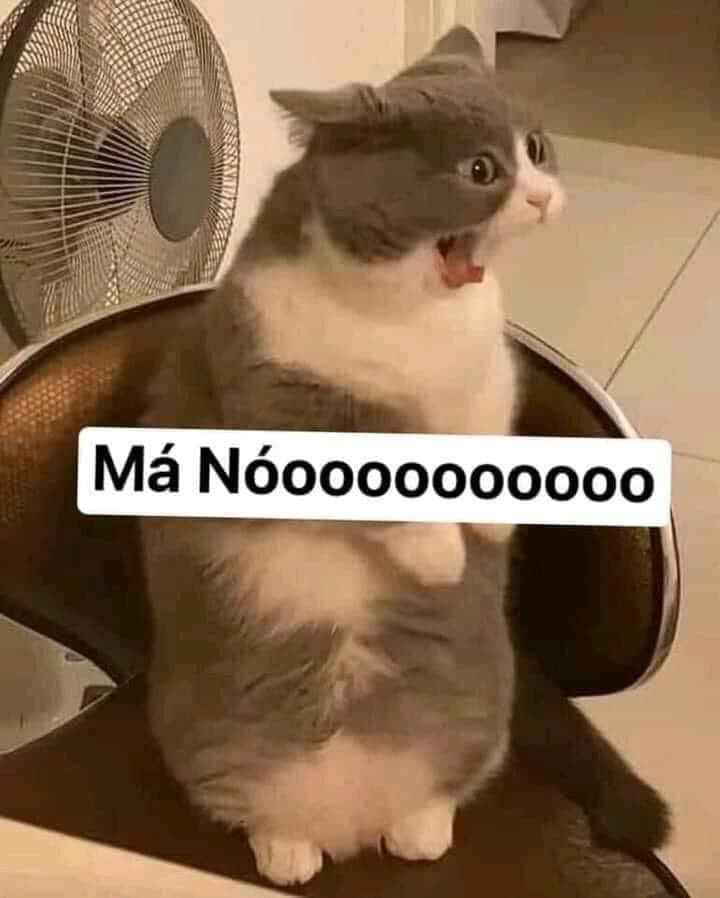 Meme Chửi 13