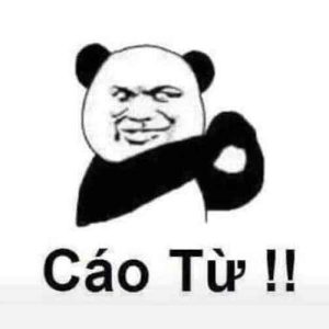 169+ Meme Gấu Trúc Cute Đốn Tim, Cười Ra Nước Mắt