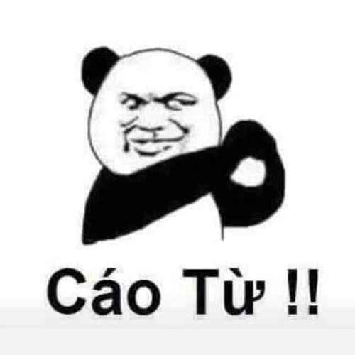 Meme Gấu Trúc 8