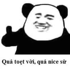 Meme Gấu Trúc 18