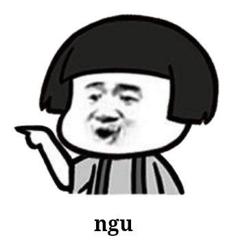 Gấu Trúc Meme 14