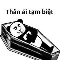 Meme Gấu Trúc 5
