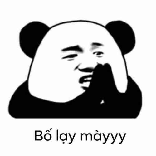 Meme Gấu Trúc 2