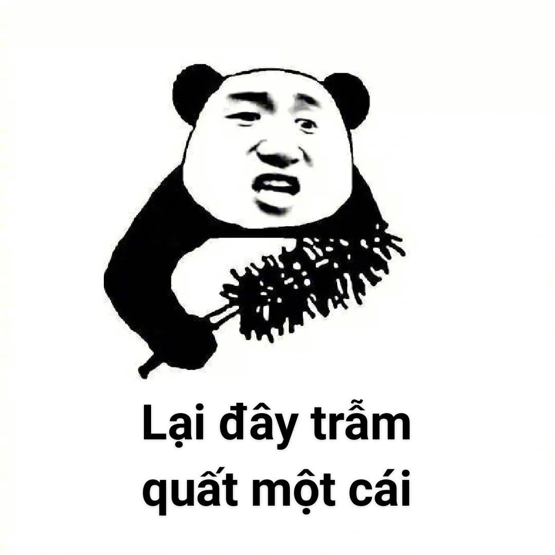 Gấu Trúc Meme 11